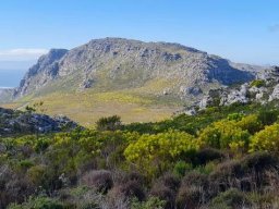 Colours of the moment